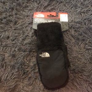 The north face mitt